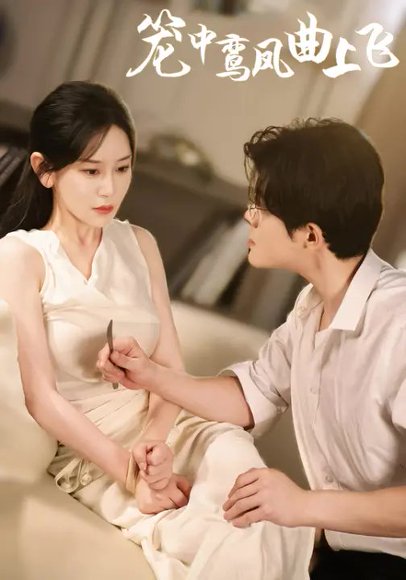 笼中鸾凤曲上飞（40集）刘彦凯&王艺鑫 高清完整版