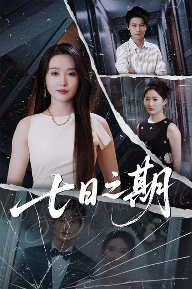 七日之期（90集）刘雪莹&刘方为 高清完整版